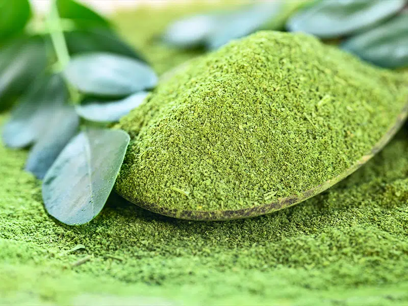 Miért érdemes moringát fogyasztani az egészségért és az energiáért 1 moringa 1
