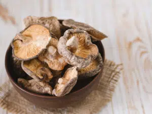 shiitake 2 2 1