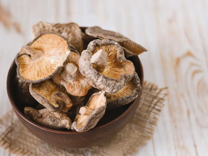 Shiitake gomba: miért érdemes beépíteni az étrendbe az egészség megőrzéséért 6 shiitake 2 2 1