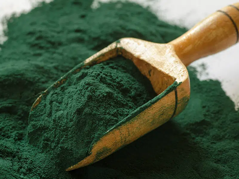 Spirulina alga – a természet legértékesebb ajándéka szervezetünknek 1 spirulina 2 2 2