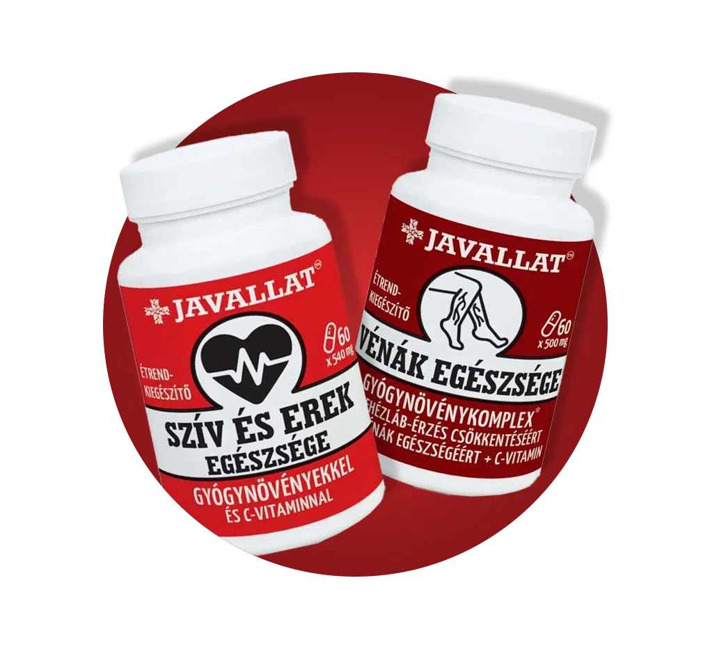 Javallat szív és érrendszer