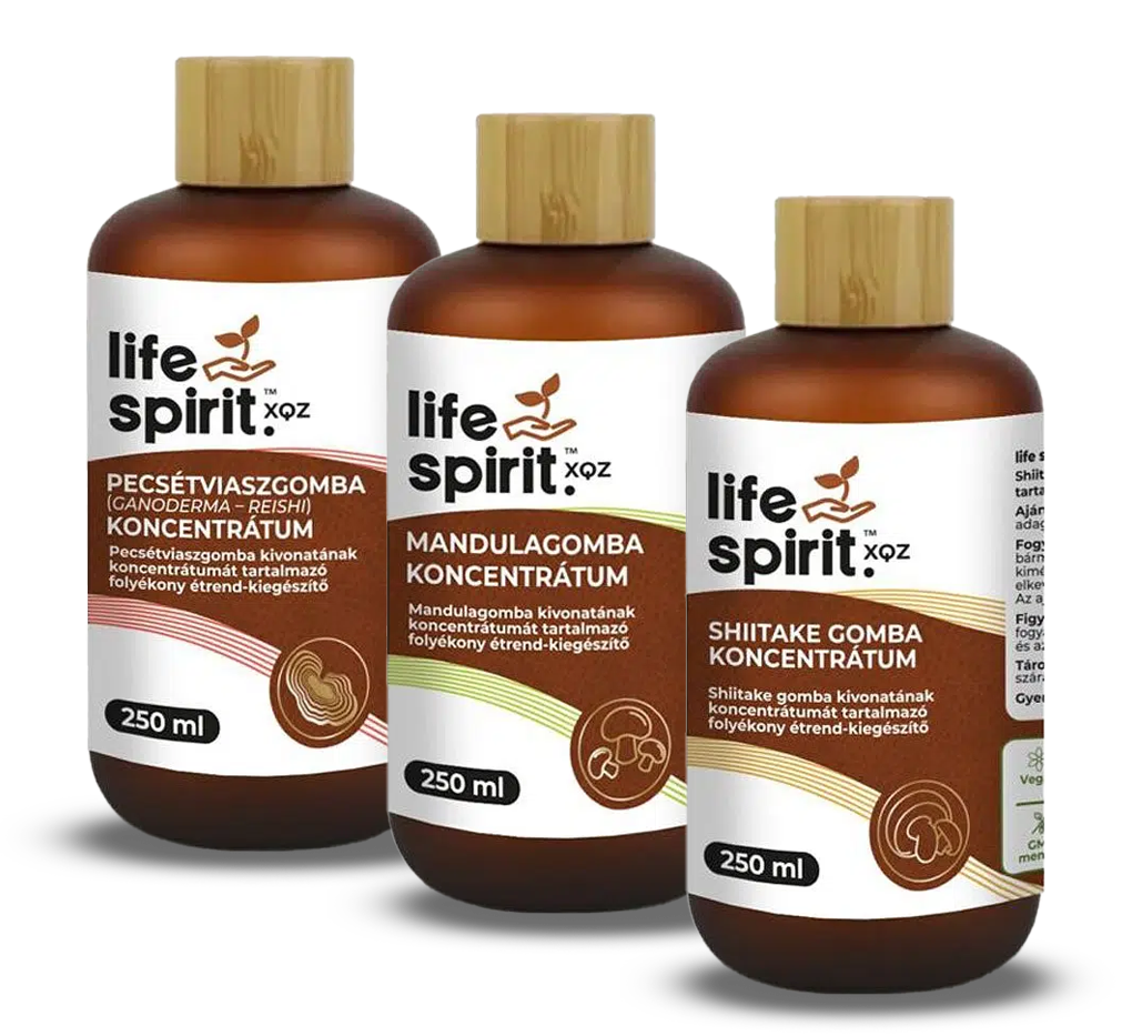 Life Spirit gomba koncentrátum