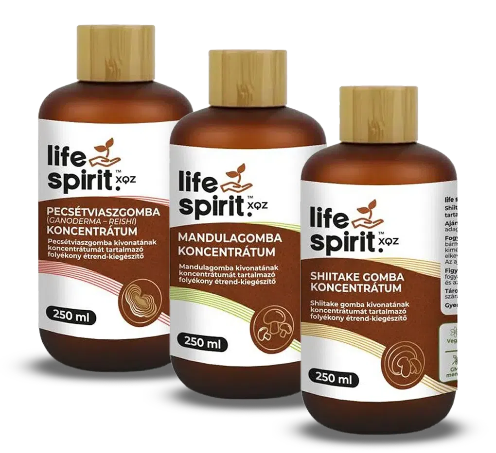 Life Spirit gomba koncentrátum