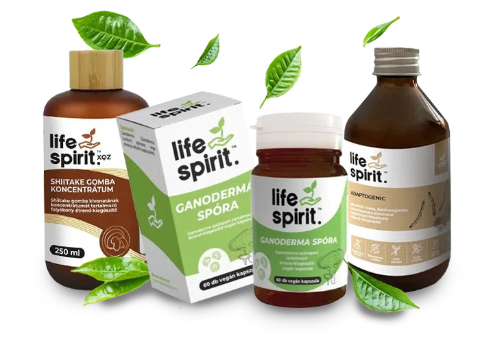 Life Spirit
