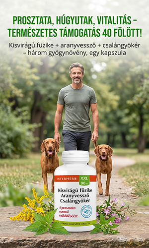 Interherb XXL kisvirágú füzike, aranyvessző, csalángyökér kapszula