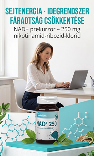 Vitaking NAD+250 kapszula