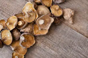 5 súlyos hiba a ganoderma kapszula kiválasztásakor!