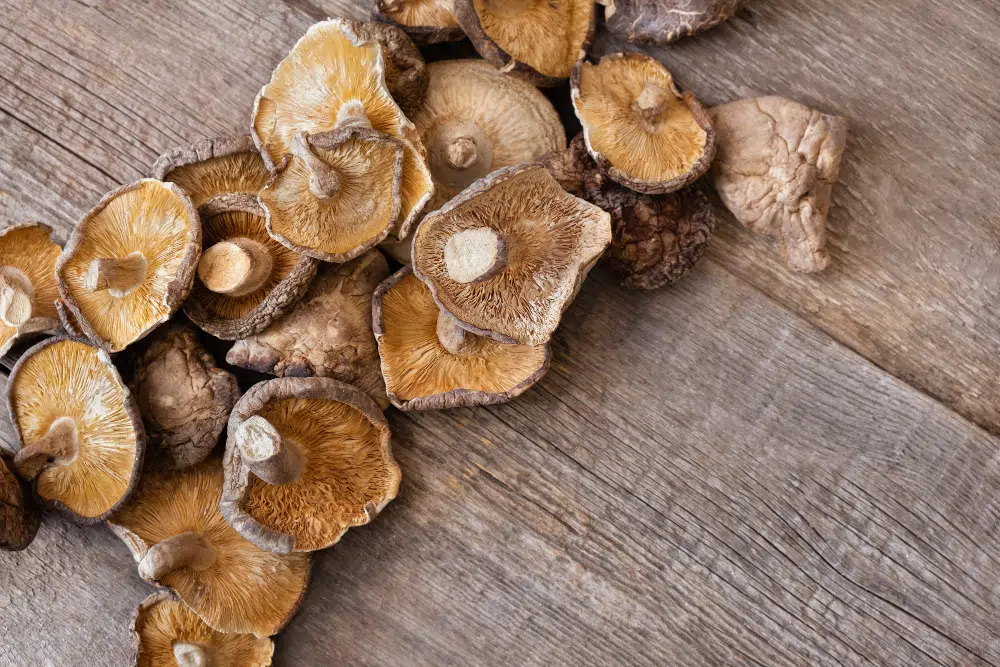 5 súlyos hiba a ganoderma kapszula kiválasztásakor! 1 5 súlyos hiba a ganoderma kapszula kiválasztásakor!