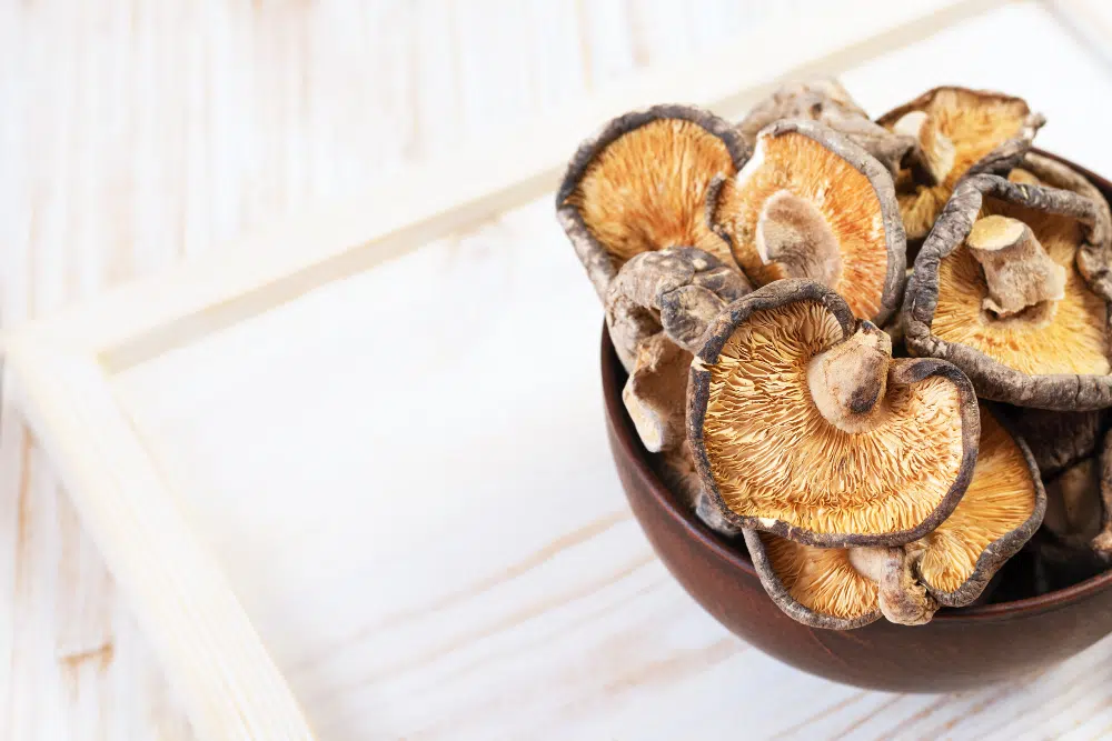 5 súlyos hiba a ganoderma kapszula kiválasztásakor! 9 Ganoderma kapszula