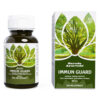 Garuda Ayurveda Immun Guard vegán kapszula 60 db