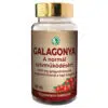 Dr. Chen Galagonya kapszula - 100db